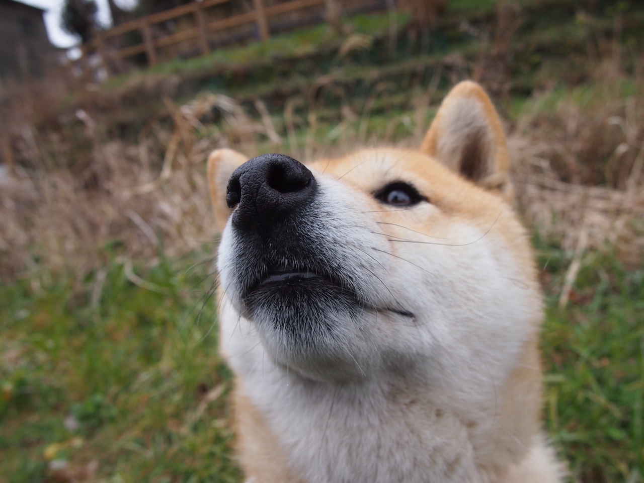 爱游戏体育官网-【延长赛规则新变化】平局加时赛将成为常态！，加时赛半场休息多长时间