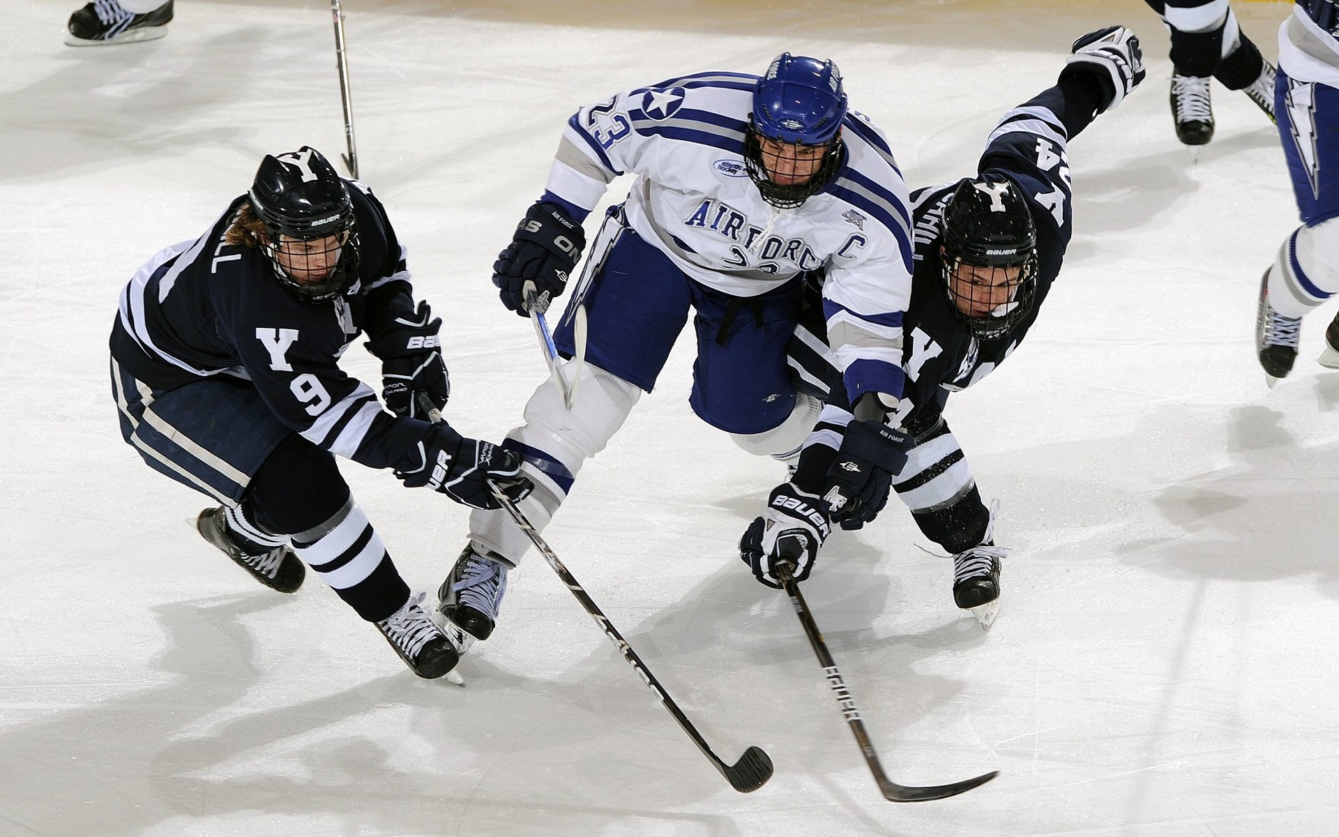 高校篮球联赛涌现多位具潜力选手引关注，高校篮球队排名